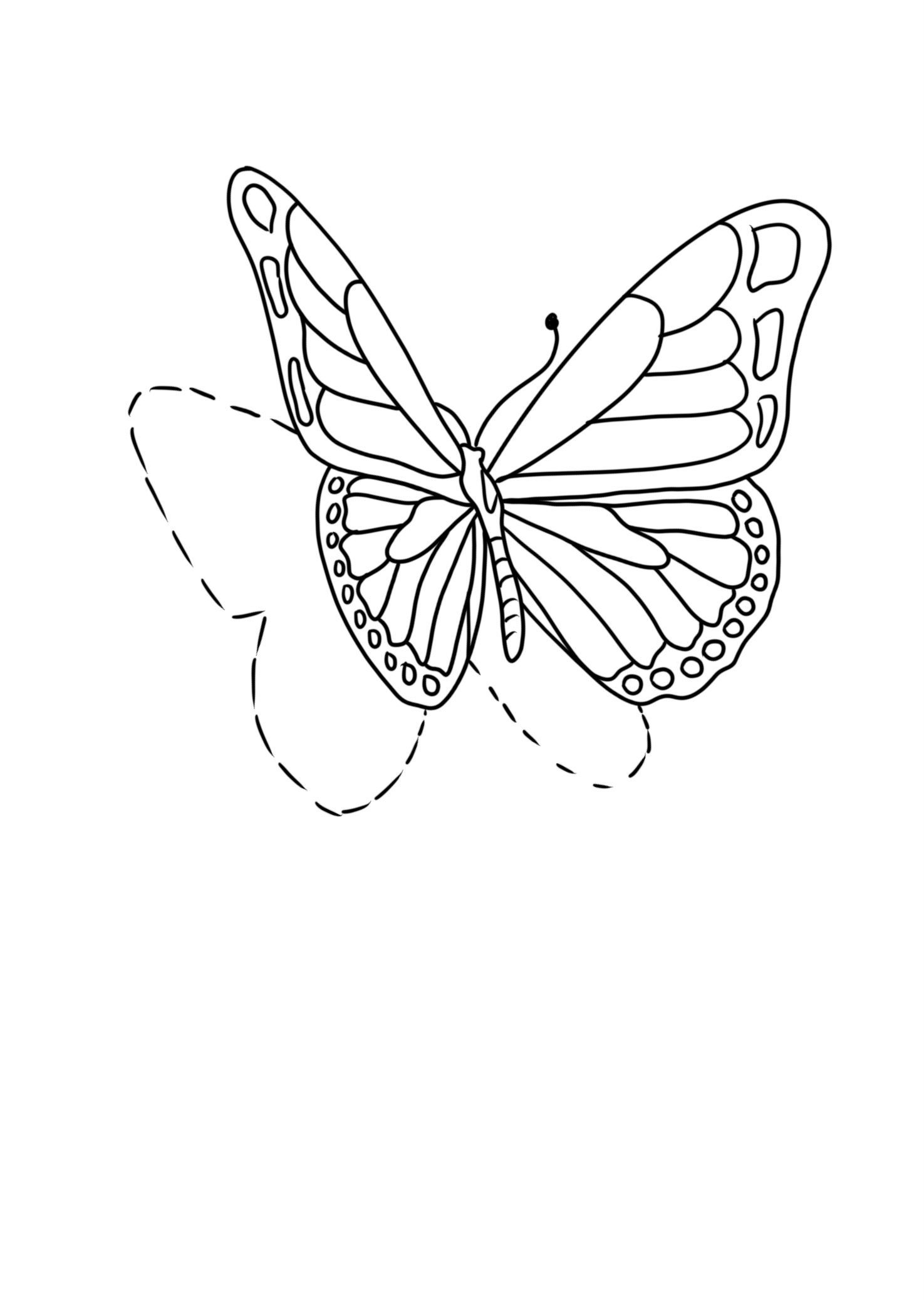 Small butterfly tattoo outline 0047