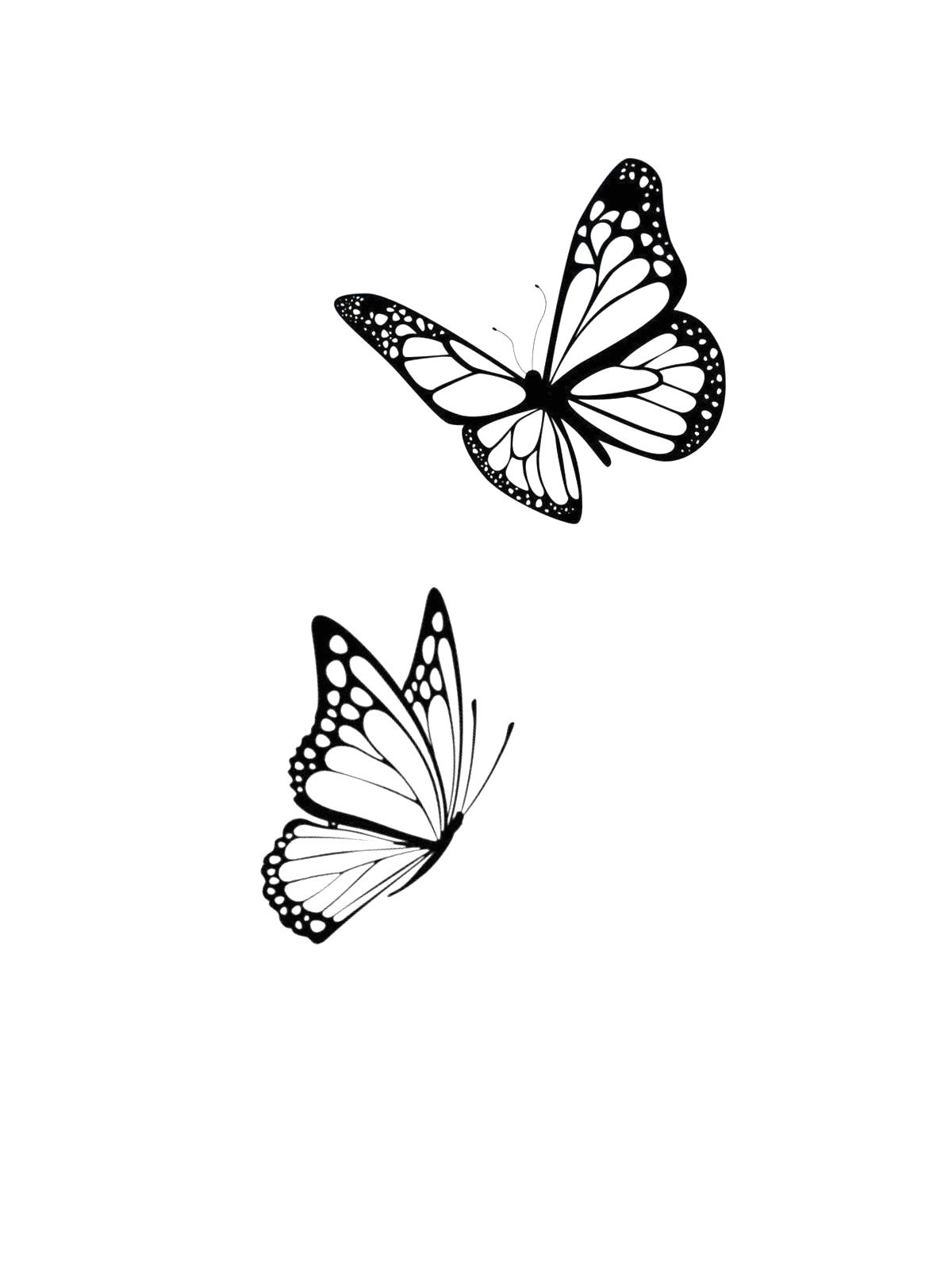 Small butterfly tattoo outline 0063