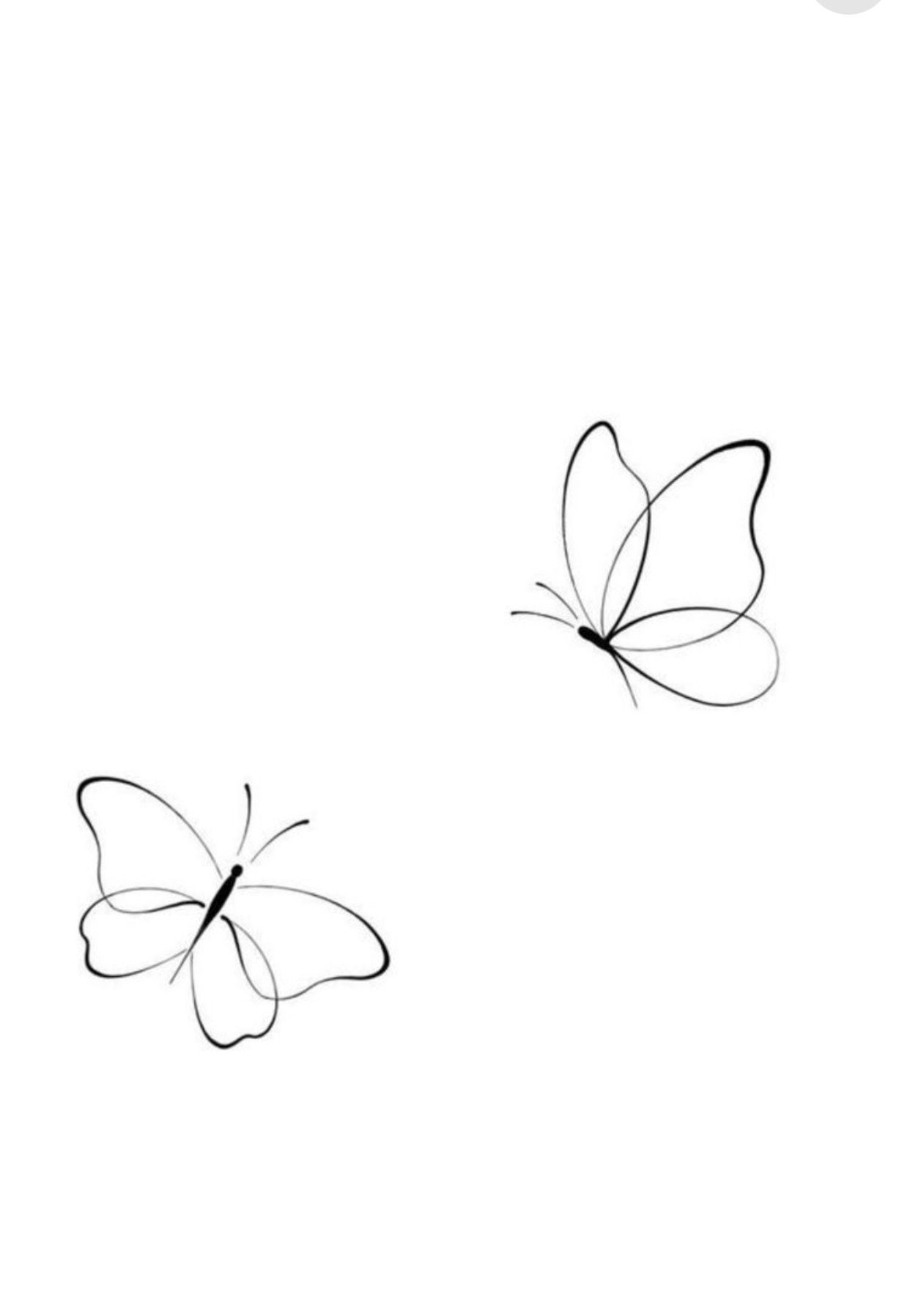 small butterfly tattoo 0059