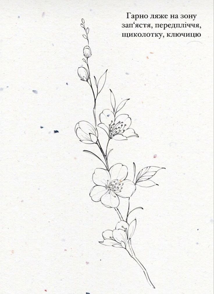 small carnation tattoo ideas