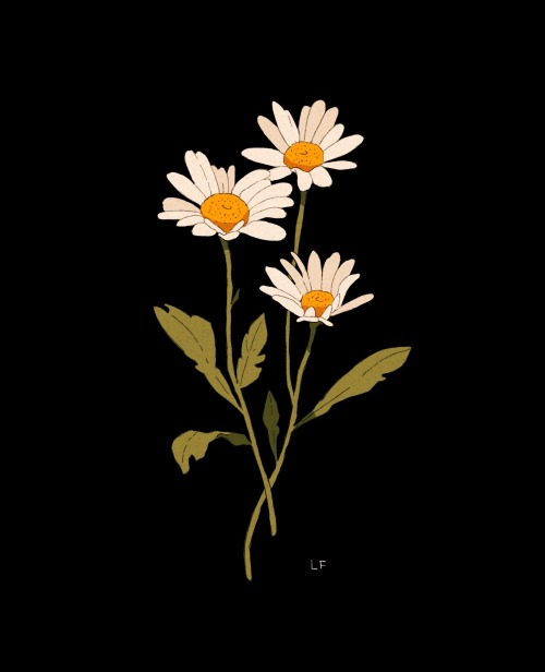 Small daisy tattoo 0091