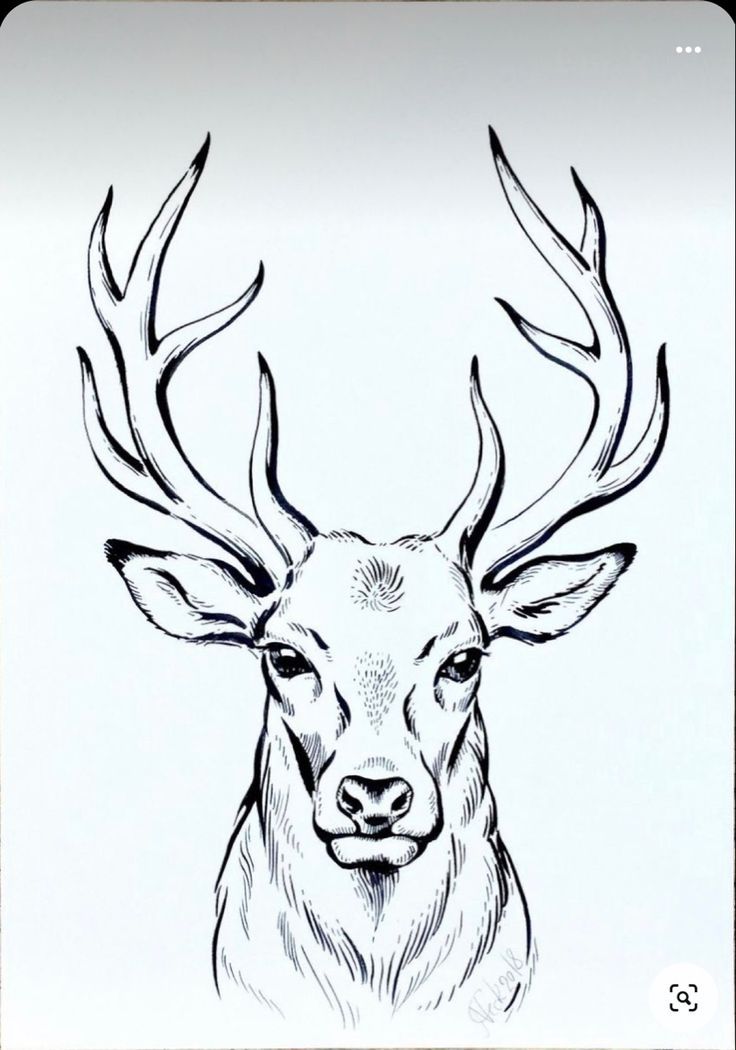 small deer tattoo 0014