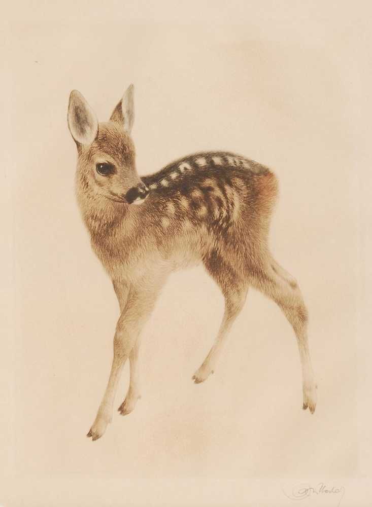 small deer tattoo 0015