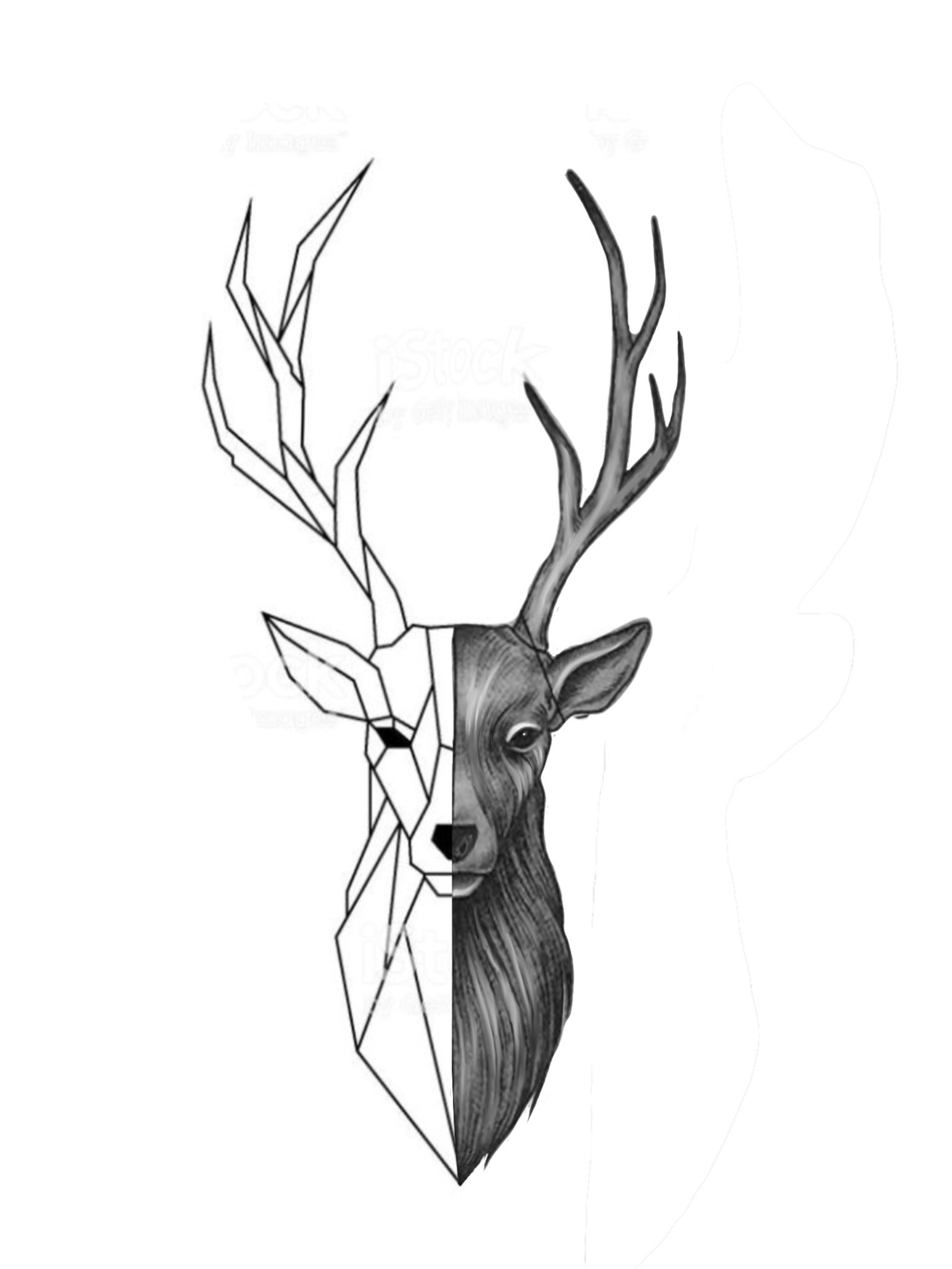 small deer tattoo 0039