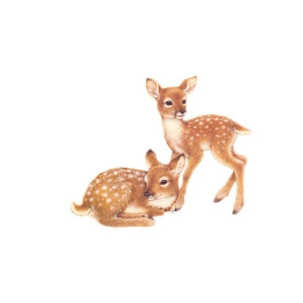 small deer tattoo 0058