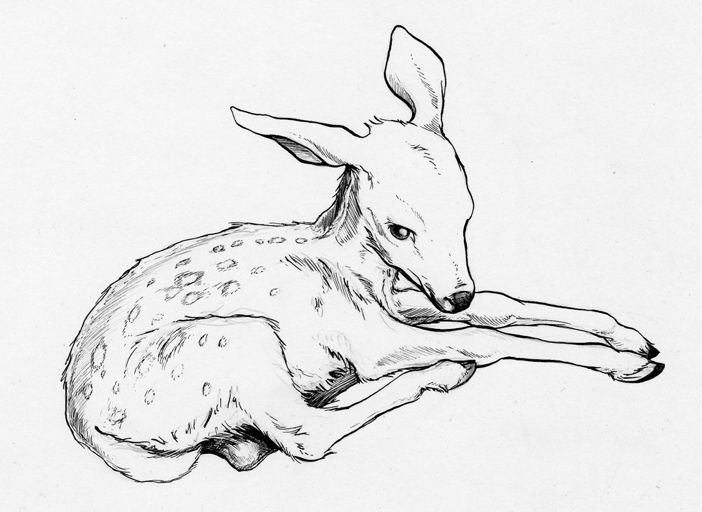 small deer tattoo 0062