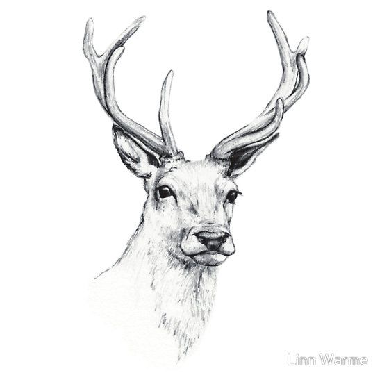 small deer tattoo 0094