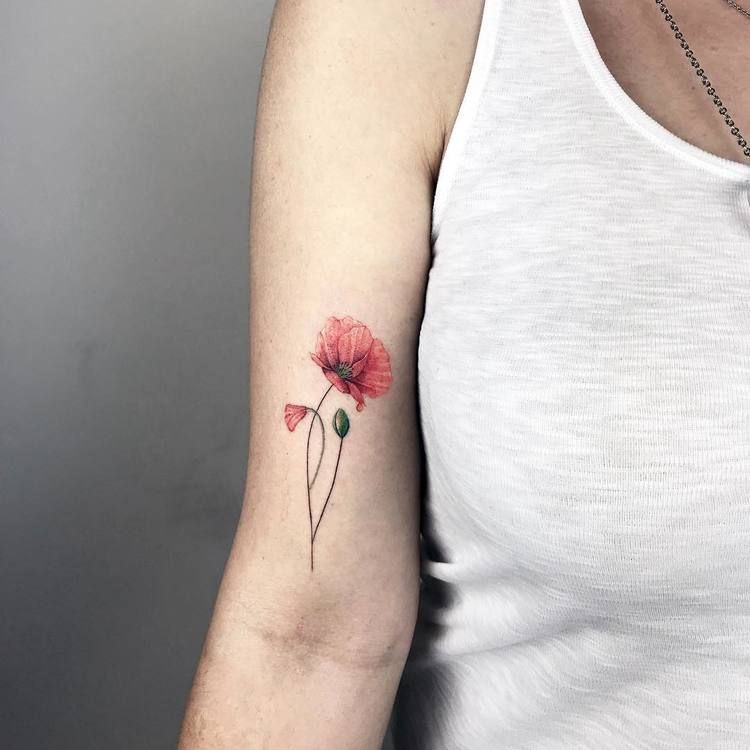 Small delicate poppy tattoo 0020