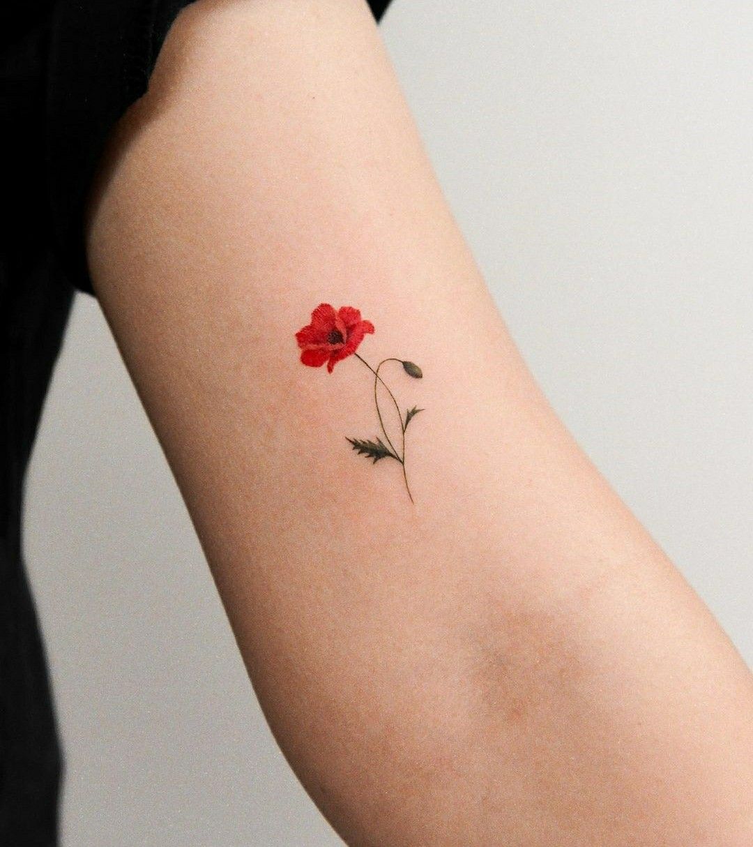 Small delicate poppy tattoo 0029