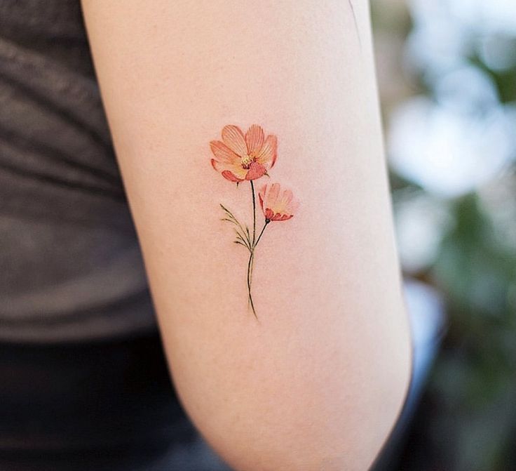 Small delicate poppy tattoo 0055