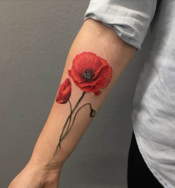 Small delicate poppy tattoo 0061