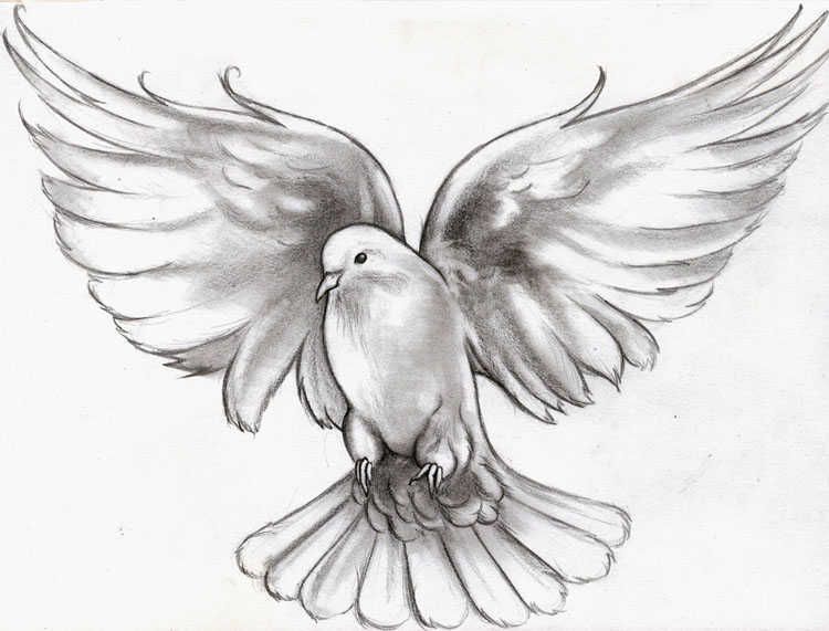 small dove tattoo 0046