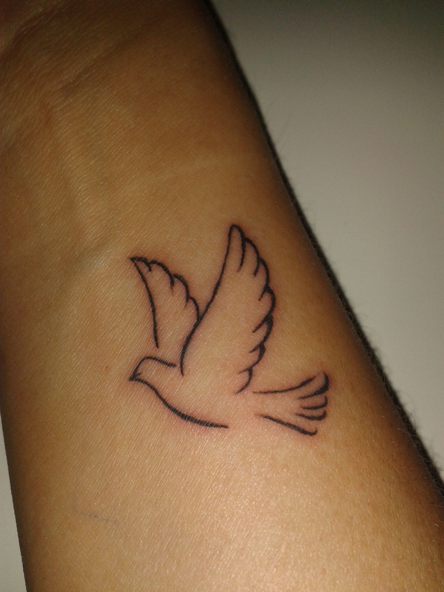 small dove tattoo 0059