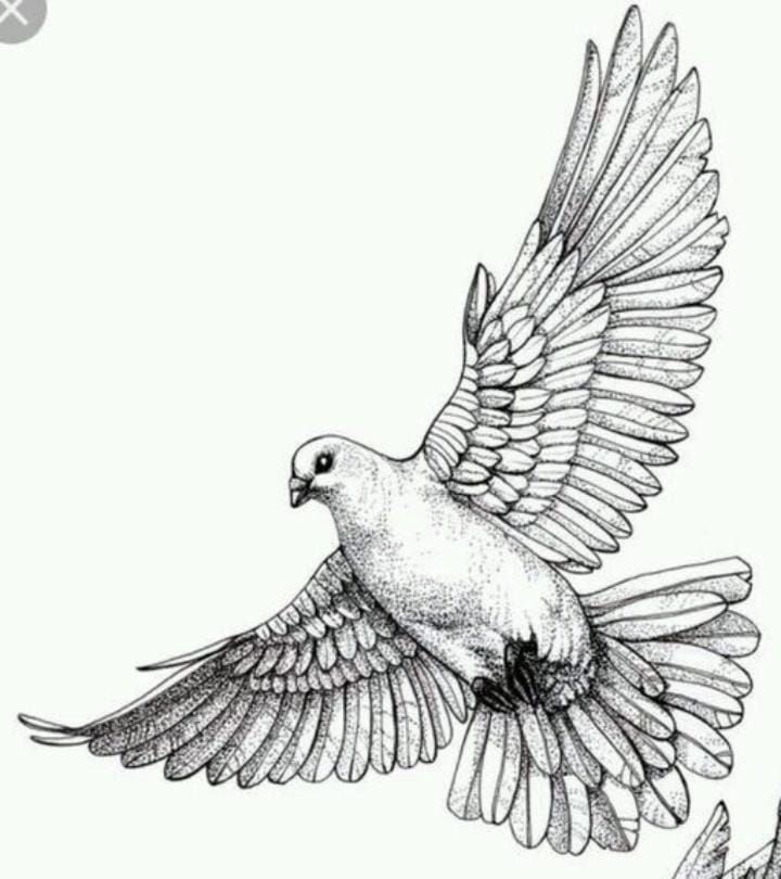 small dove tattoo 0074