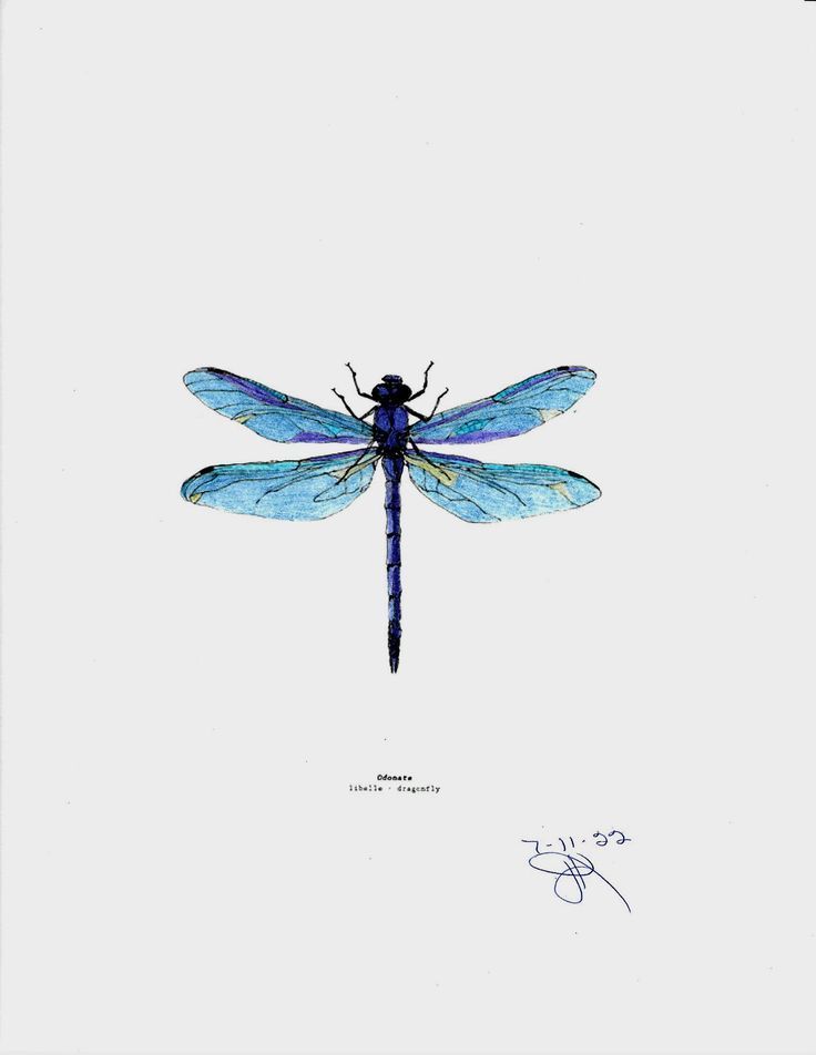 small dragonfly tattoo 0068