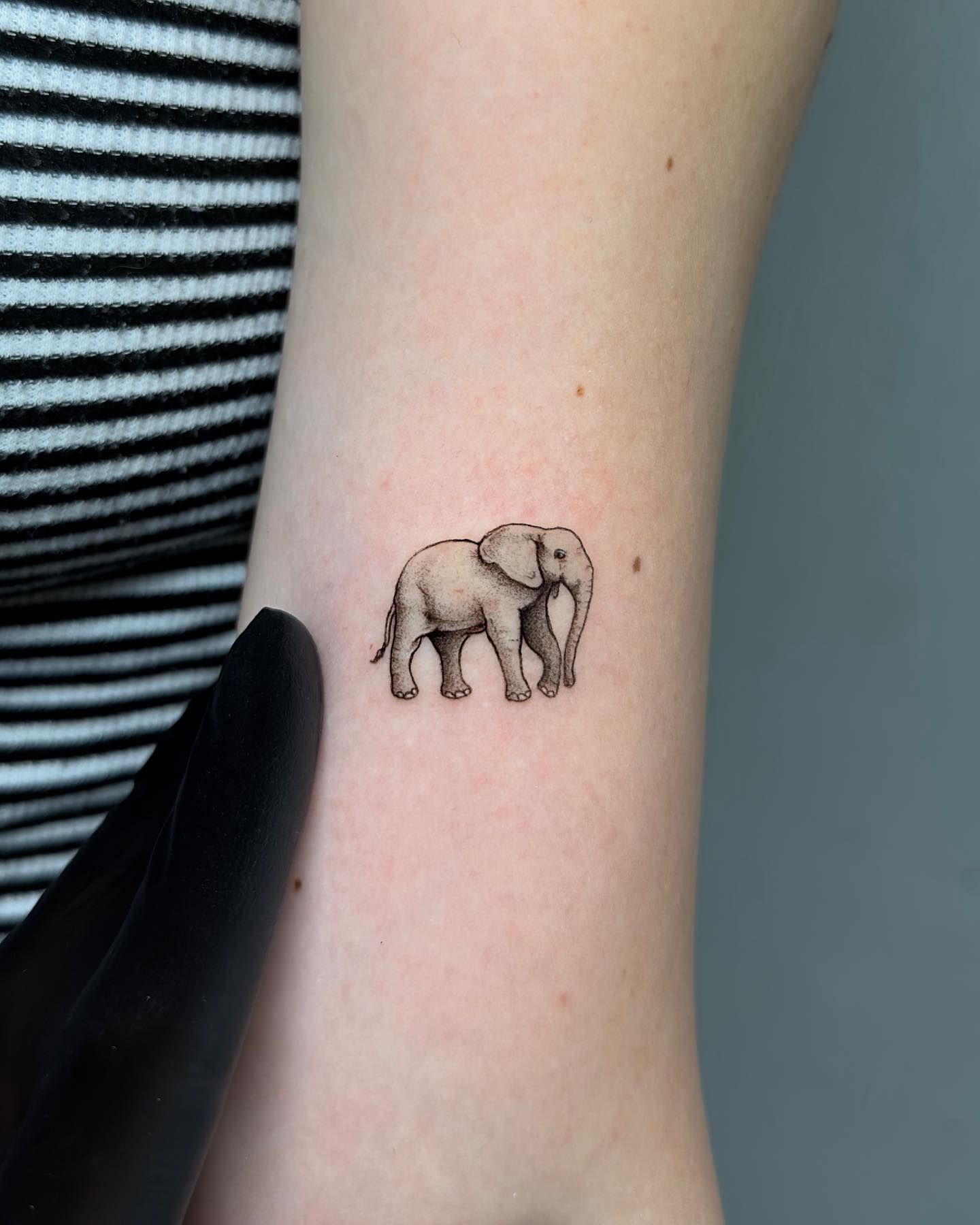 small elephant tattoo 0050