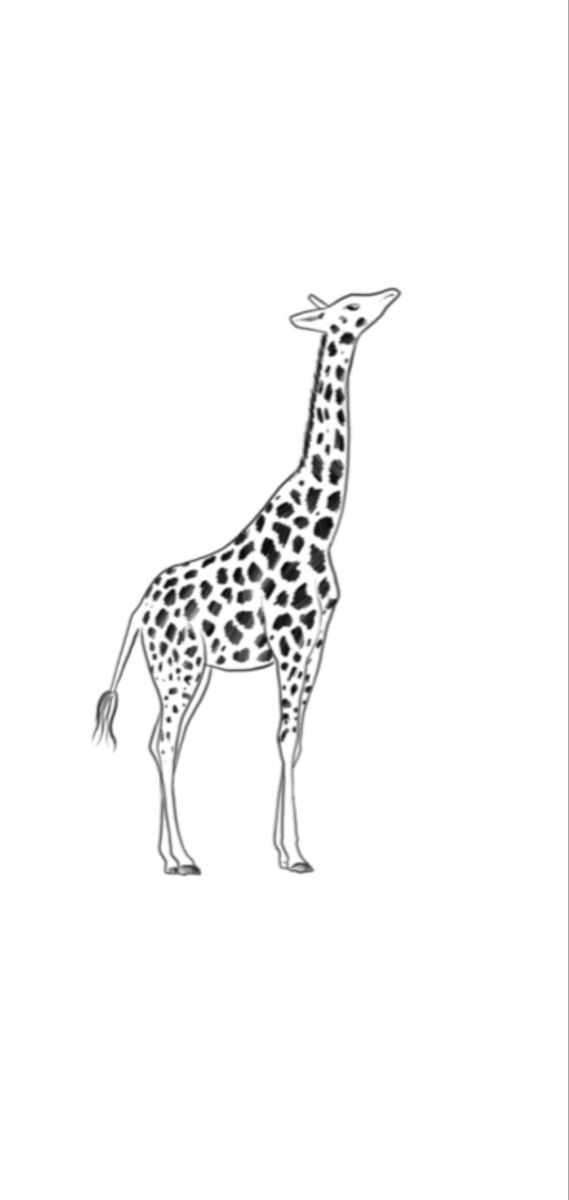 small giraffe tattoo 0011