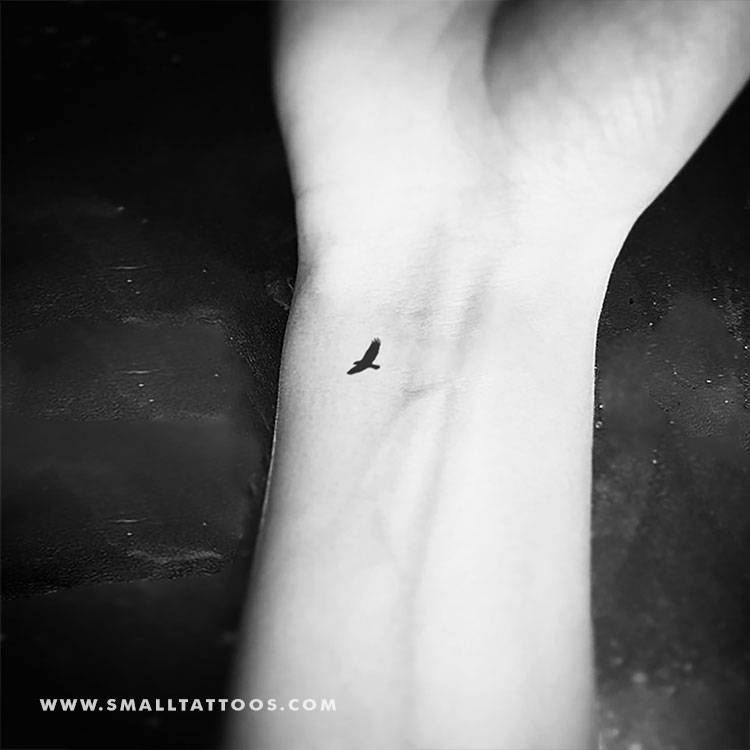 small hawk tattoo placements