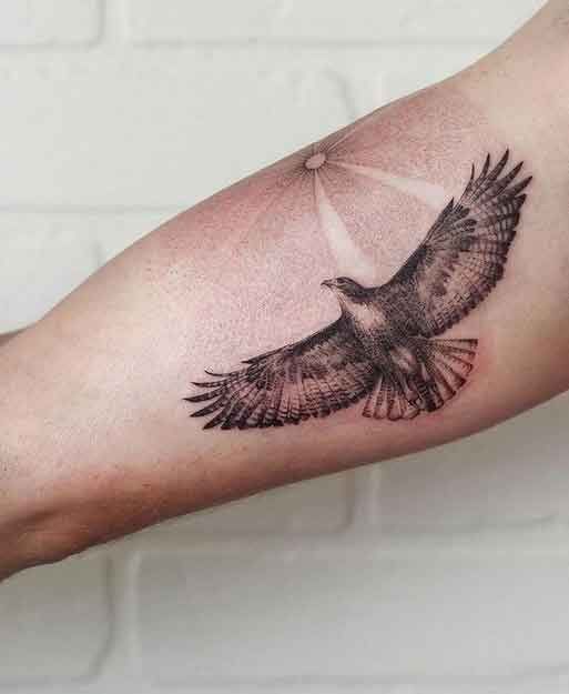 small hawk tattoo 0051