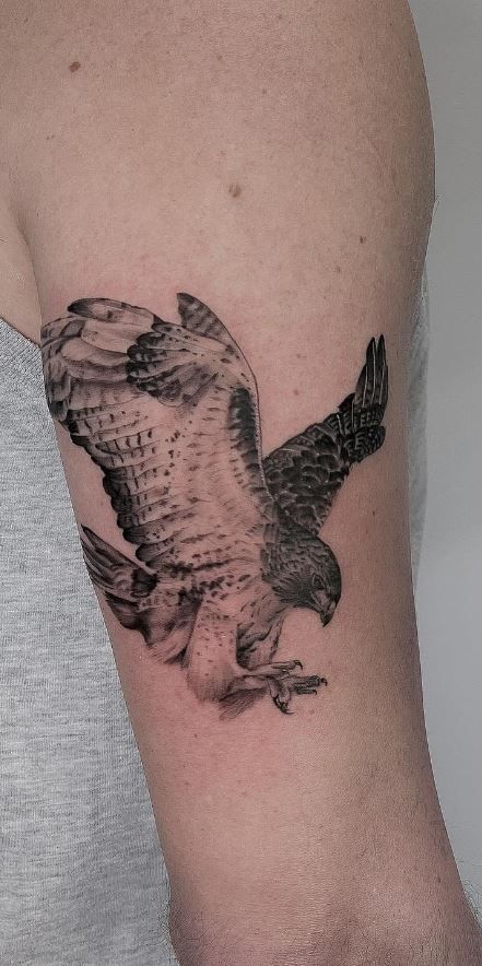 small hawk tattoo 0057