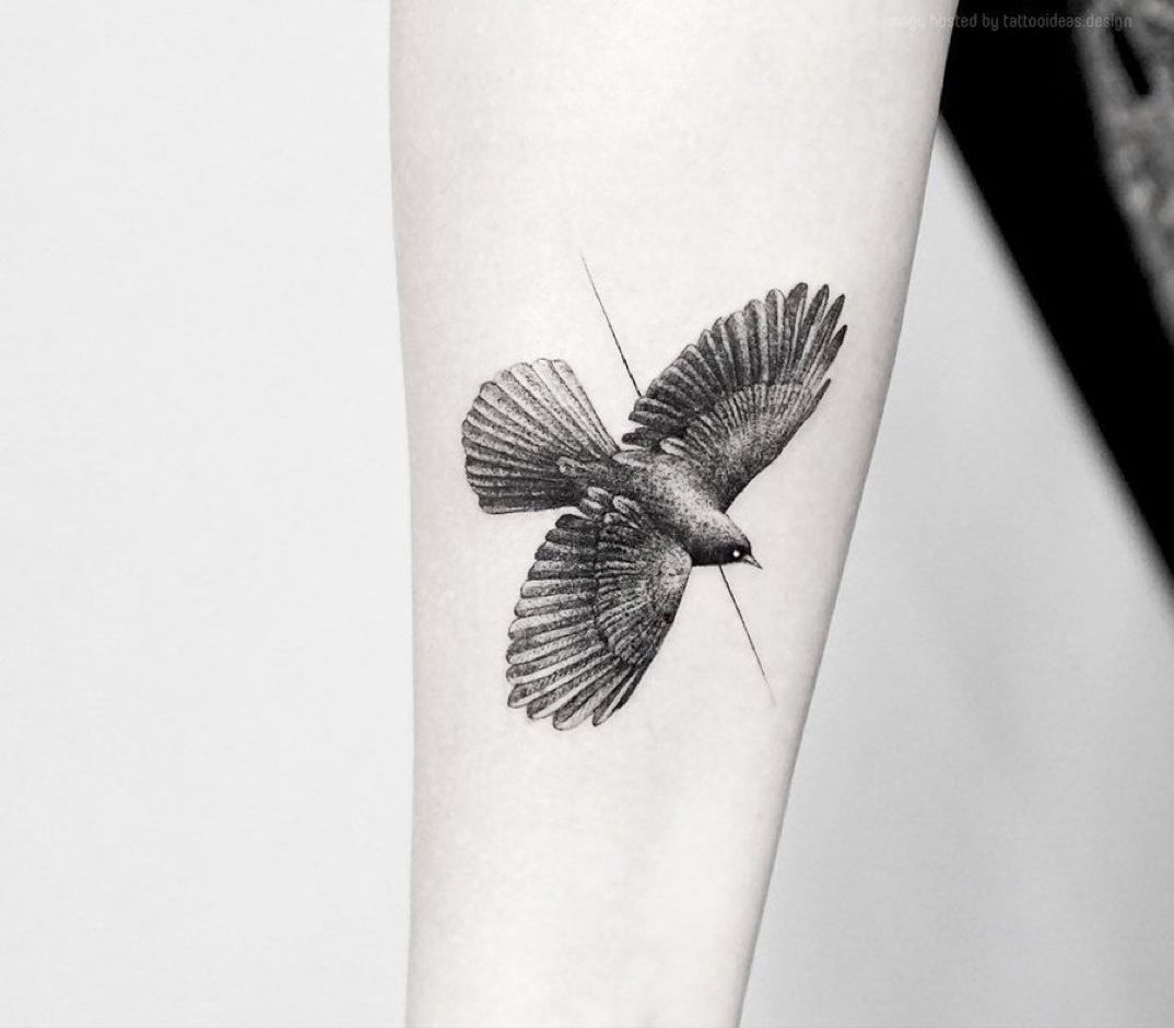 small hawk tattoo 0072