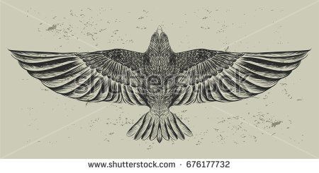 small hawk tattoo 0092