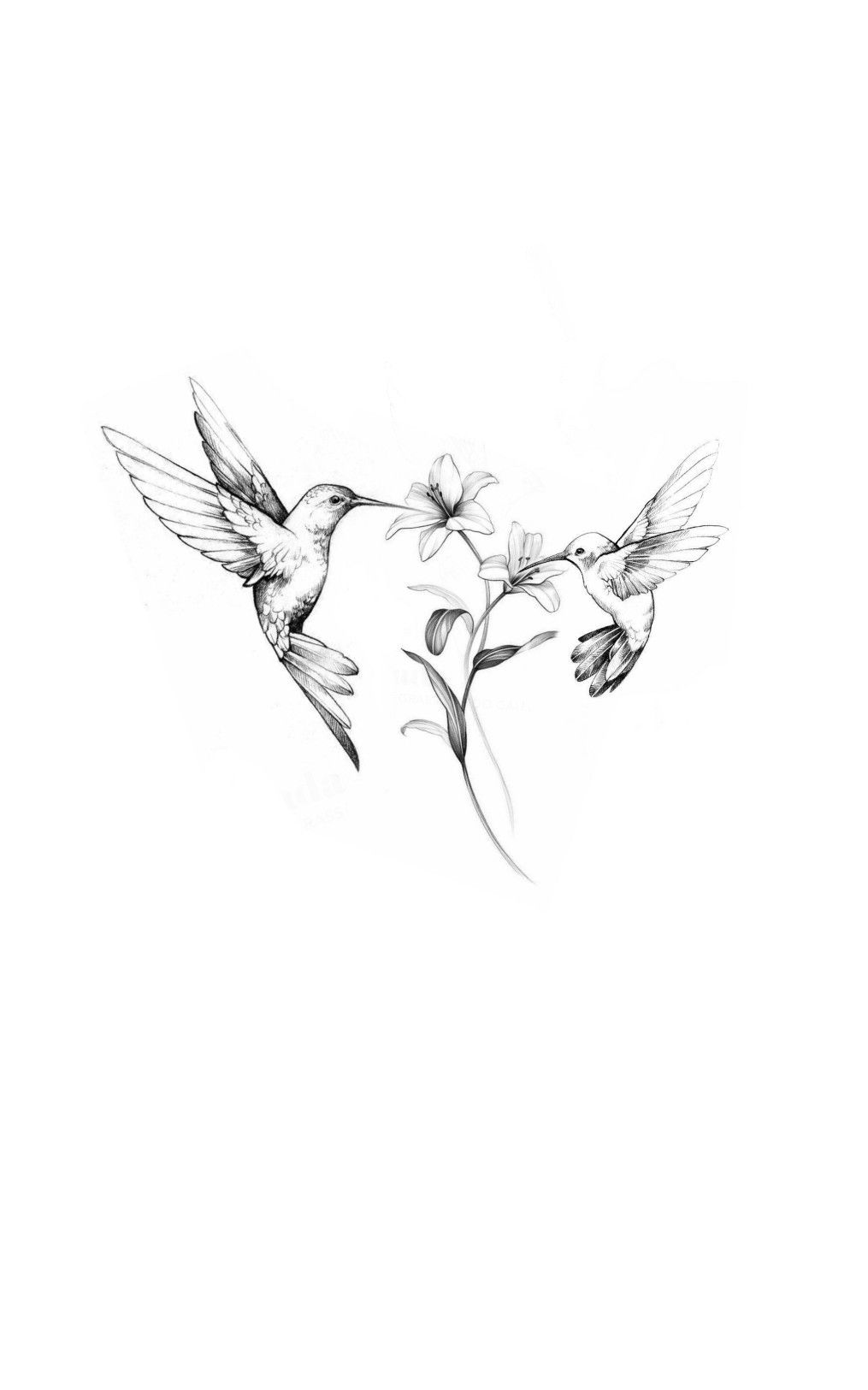 small hummingbird tattoo 0044