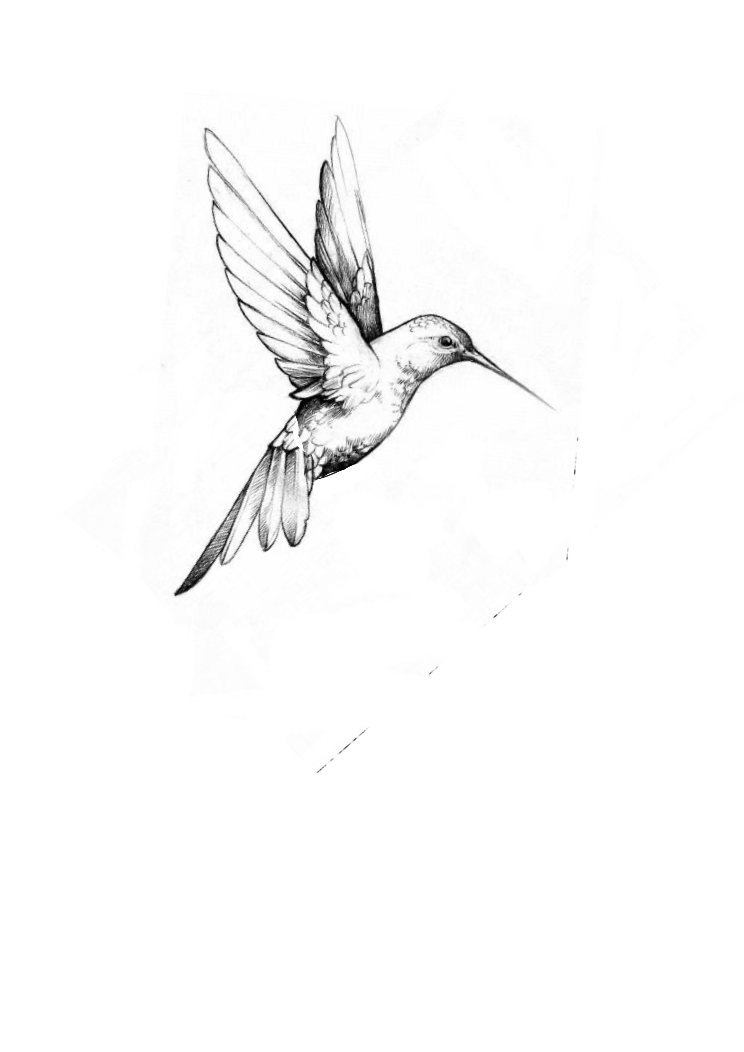 small hummingbird tattoo 0078