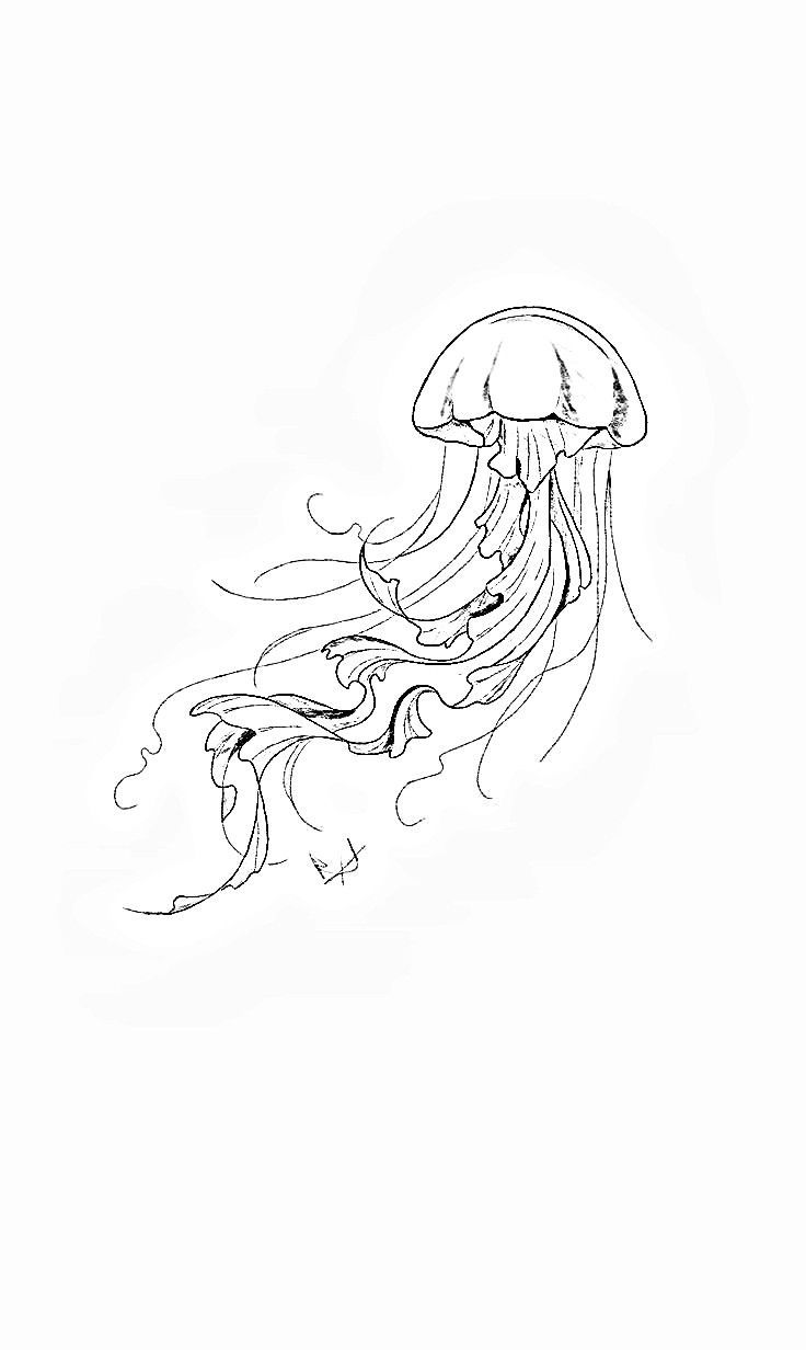 small jellyfish tattoo placements