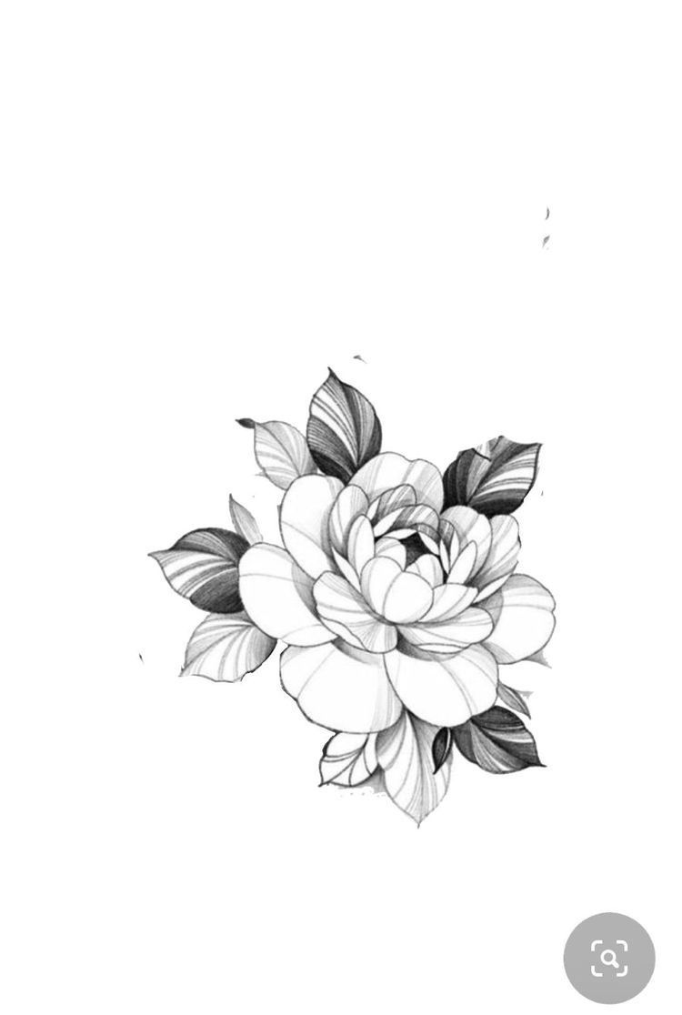 Small lotus flower tattoo 0033