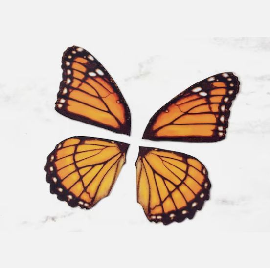 small monarch butterfly tattoo 0071