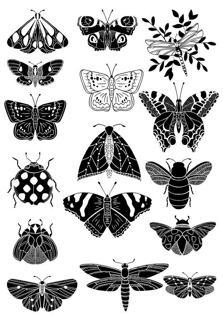 Small moth tattoo placement suggestions