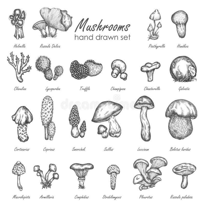 Small mushroom tattoo 0016