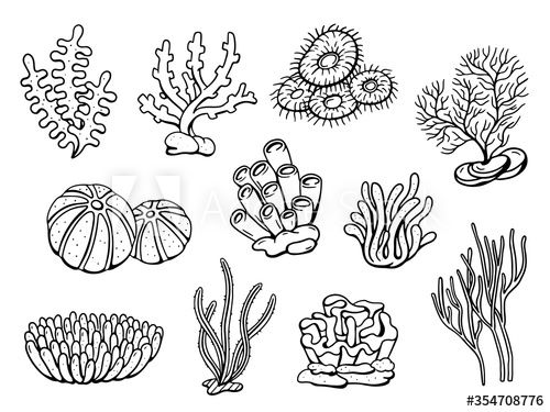 ocean tattoo ideas 0080