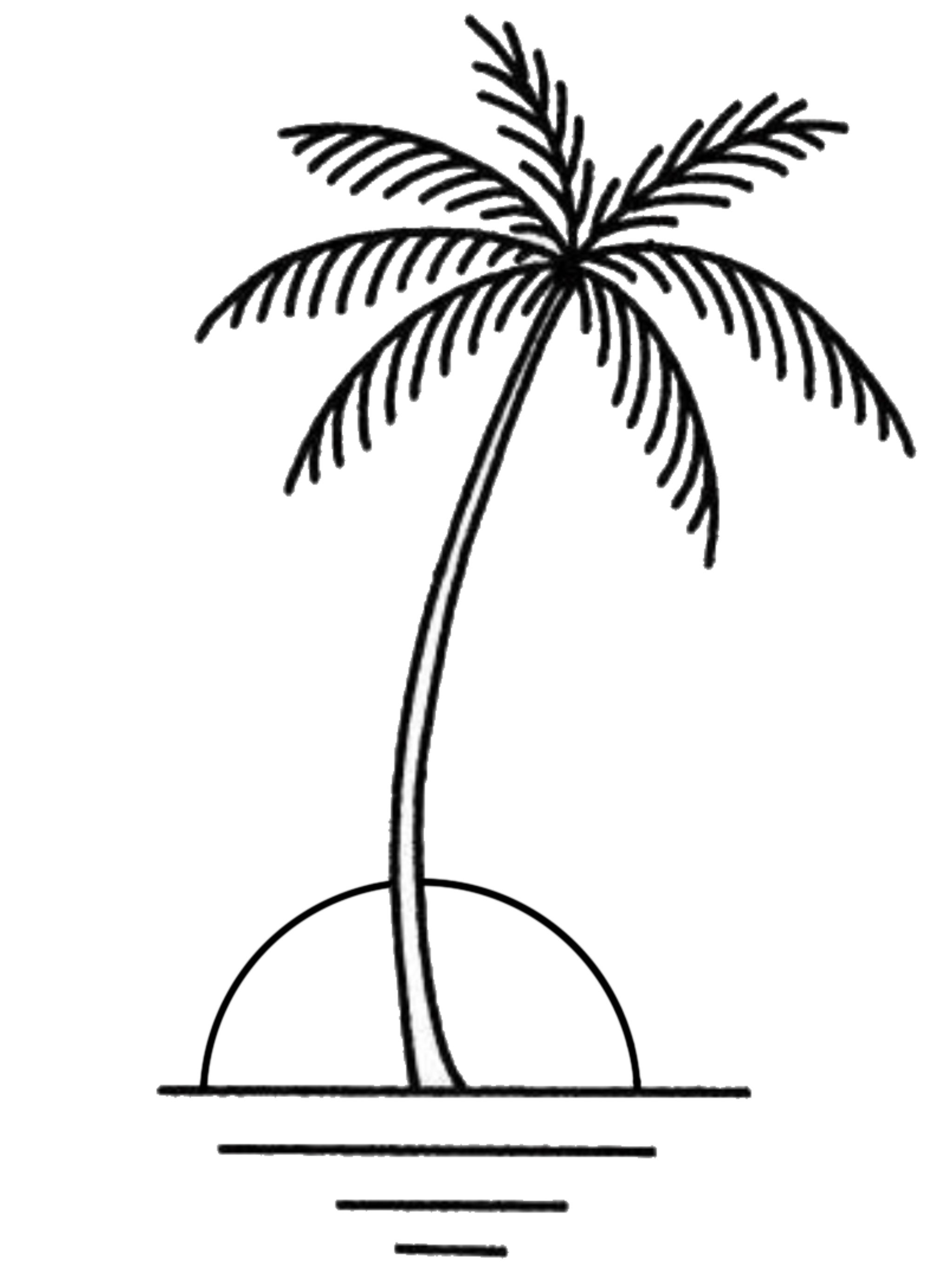 small palm tree tattoo 0016