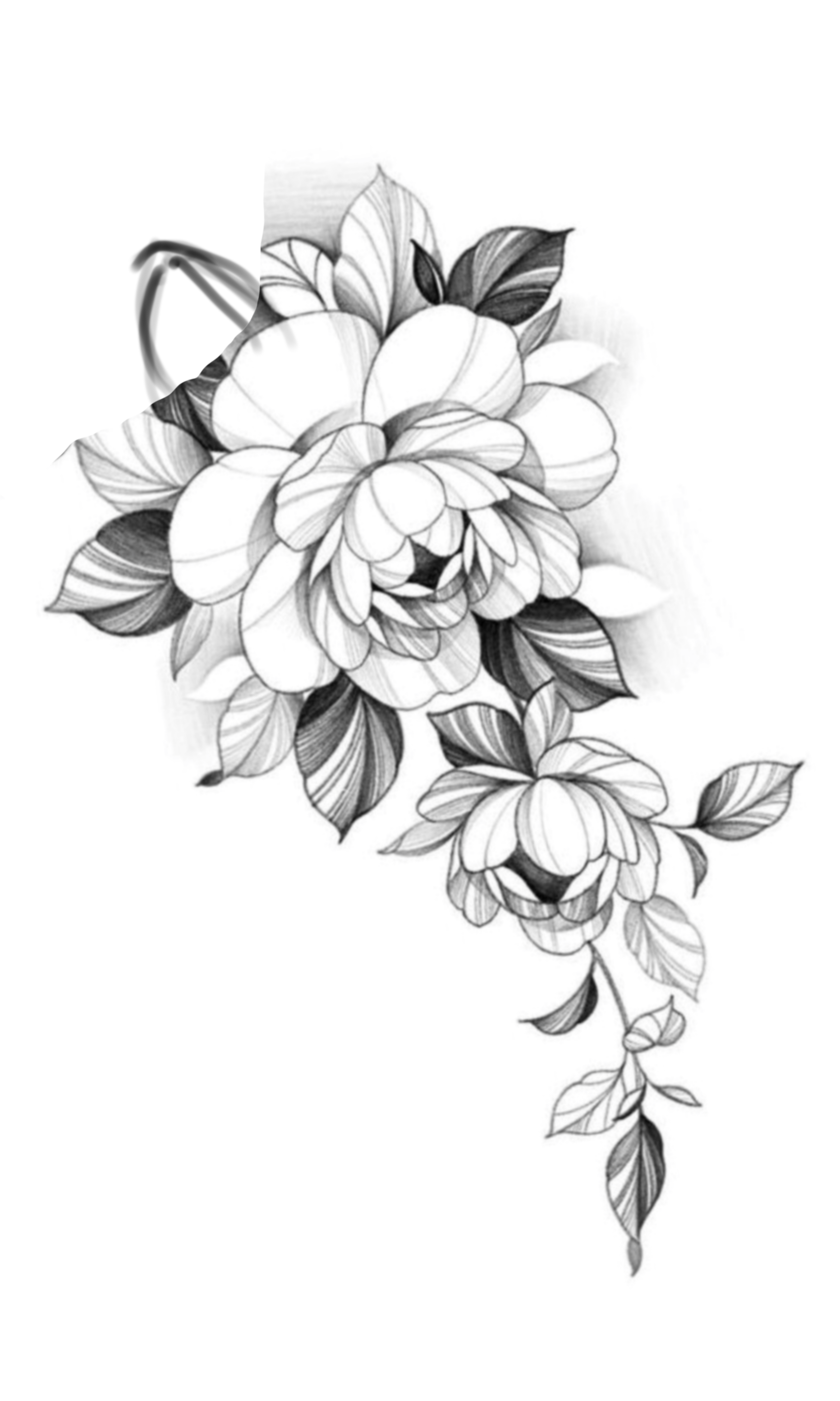 small peony tattoo meanings