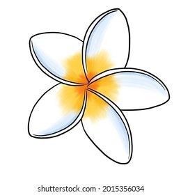 Small plumeria tattoo 0018