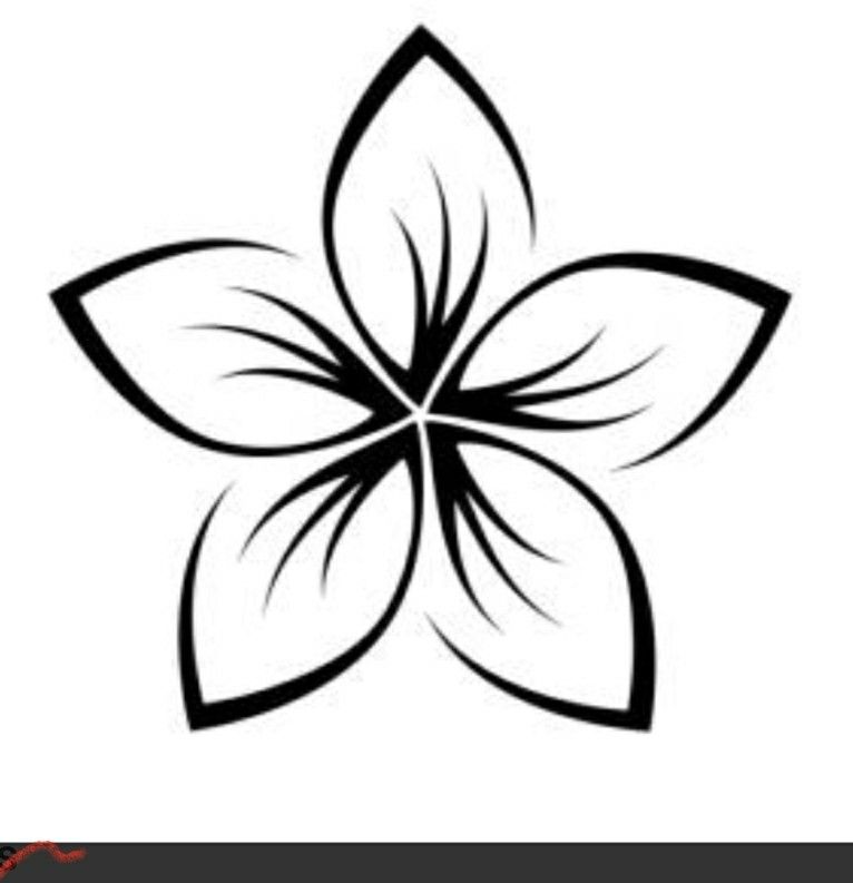 Small plumeria tattoo 0022