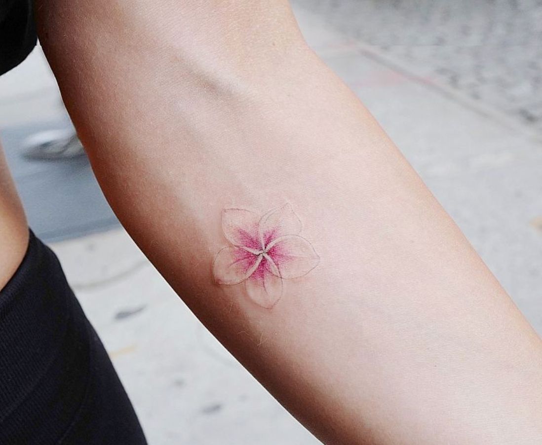 Small plumeria tattoo 0032