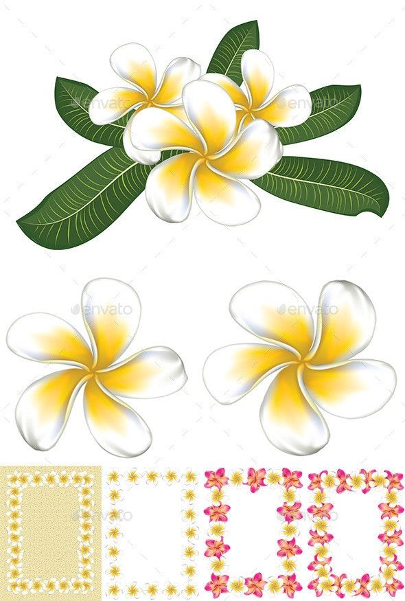 Small plumeria tattoo 0040