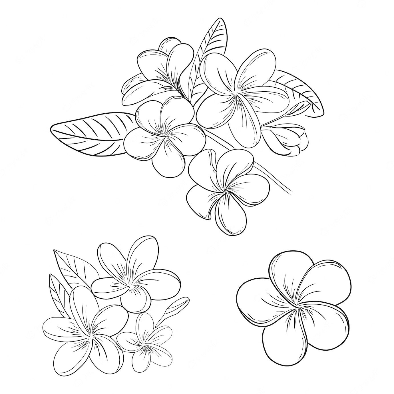 Small plumeria tattoo 0057