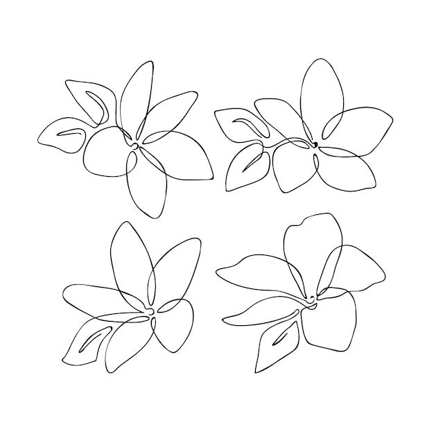 Small plumeria tattoo 0059