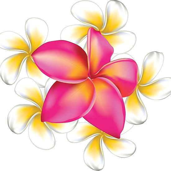 Small plumeria tattoo 0097