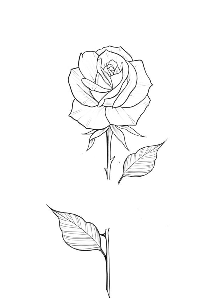 Small rose tattoo 0025