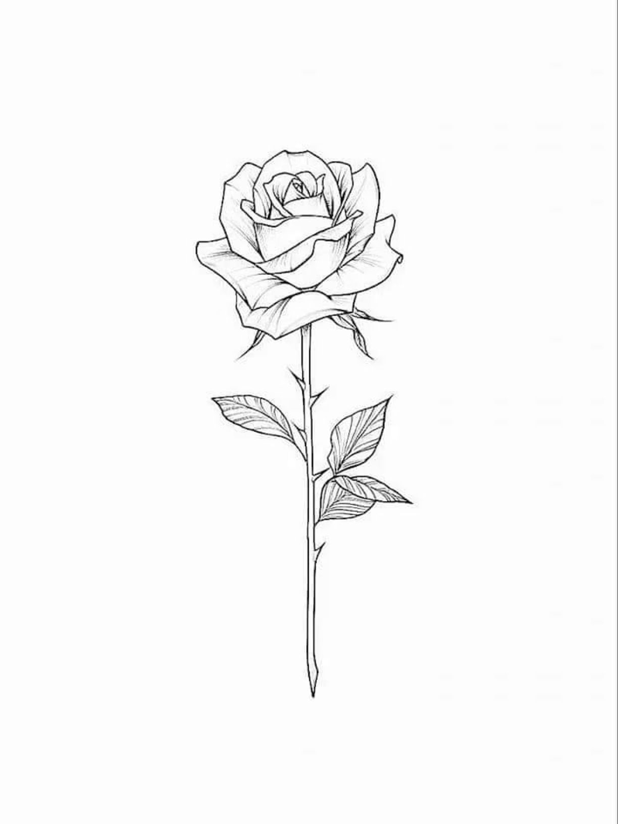 Small rose tattoo 0026