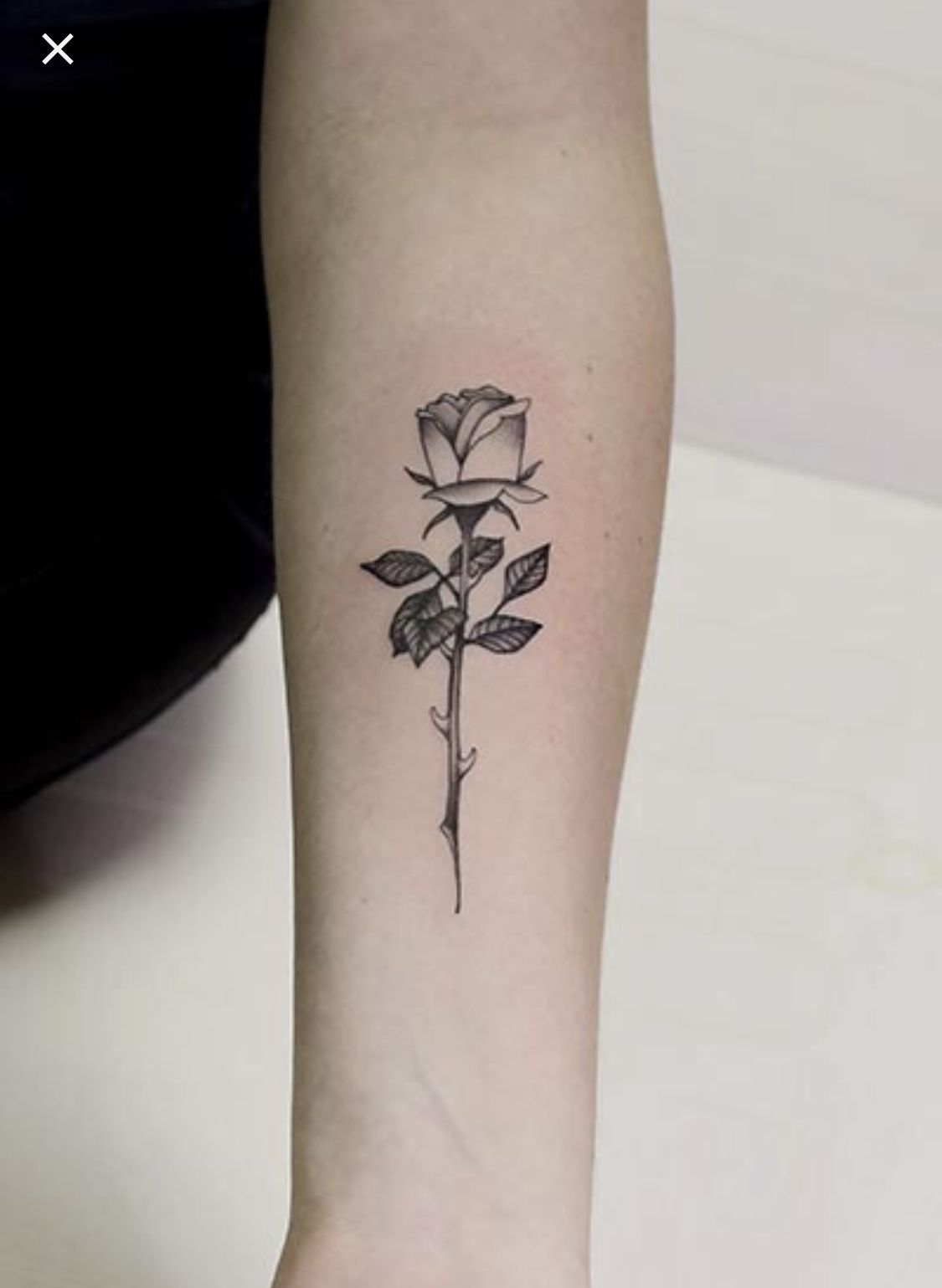 Small rose tattoo 0035