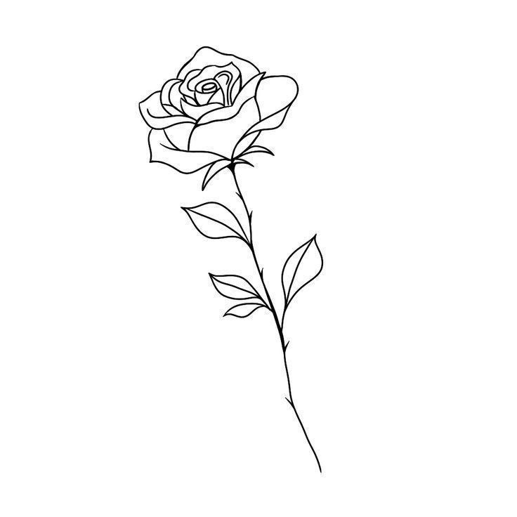 Small rose tattoo 0043