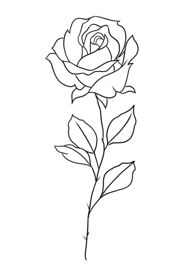 Small rose tattoo 0087