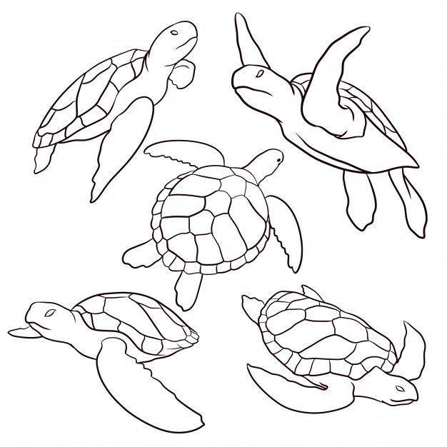 Small sea turtle tattoo 0023