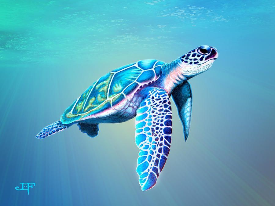 Small sea turtle tattoo 0047